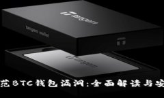 如何防范BTC钱包漏洞：全面解读与安全指南