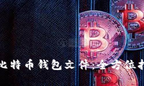 如何安全保存比特币钱包文件:全方位指导与实用技巧