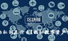 TP钱包中的私钥是什么？揭秘数字资产安全的基石