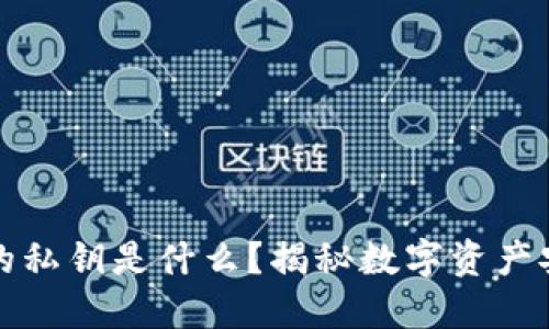 TP钱包中的私钥是什么？揭秘数字资产安全的基石