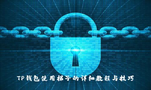 TP钱包使用梯子的详细教程与技巧