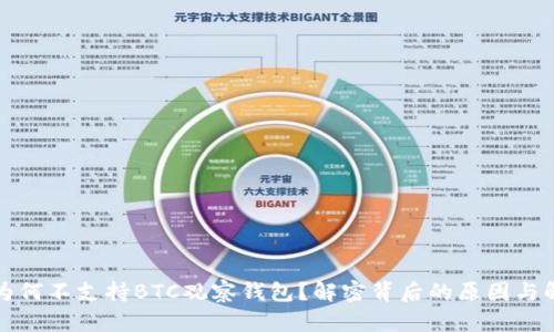 TP钱包为何不支持BTC观察钱包？解密背后的原因与解决方案