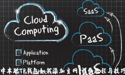 
中本聪TP钱包如何添加主网：详细教程与技巧