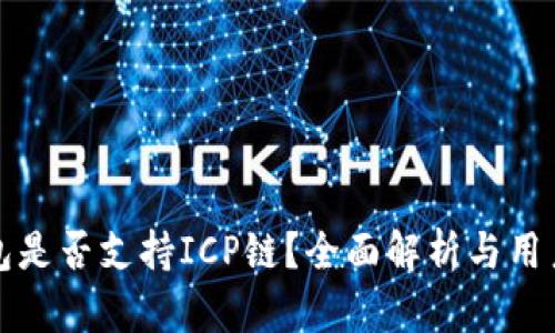 TP钱包是否支持ICP链？全面解析与用户指南