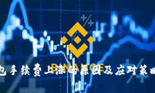 TP钱包手续费上涨的原因及应对策略解析