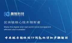 中本聪币转账到TP钱包的详细步骤解析