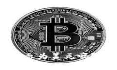 TP钱包中币种价格显示为美元吗？详细解读与使用