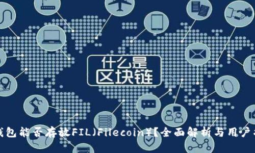 TP钱包能否存放FIL（Filecoin）？全面解析与用户指南