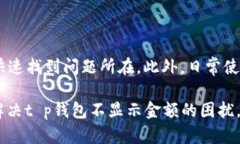  t p钱包不显示金额的原因及解决方案 /  guanjia