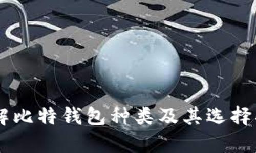 了解比特钱包种类及其选择指南