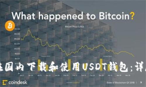 如何在国内下载和使用USDT钱包：详尽指南