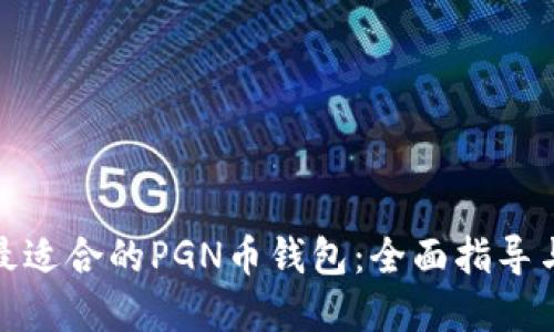 如何选择最适合的PGN币钱包：全面指导与实用建议