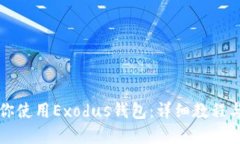 一步步教你使用Exodus钱包：详细教程与实用技巧