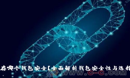 币币存哪个钱包安全？全面解析钱包安全性与选择技巧
