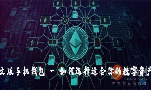 比特币中文版手机钱包 - 如何选择适合你的数字资产管理工具