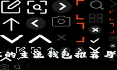 支持NMC的主流钱包推荐与使用指南