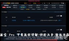 波宝 Pro 下载流程详解：快速上手，轻松体验