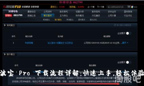 波宝 Pro 下载流程详解：快速上手，轻松体验