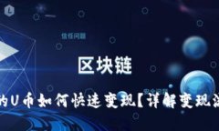 TP钱包上的U币如何快速变现？详解变现流程与技