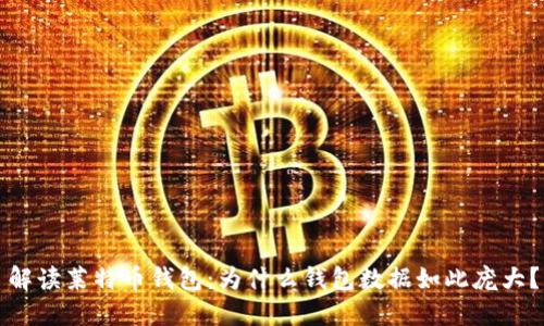 解读莱特币钱包：为什么钱包数据如此庞大？