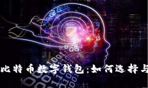 全面解析比特币数字钱包：如何选择与安全使用
