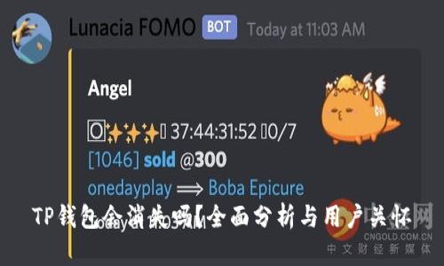 TP钱包会消失吗？全面分析与用户关怀