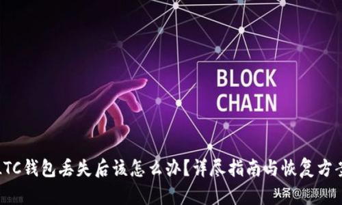 LTC钱包丢失后该怎么办？详尽指南与恢复方案