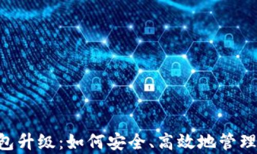 
全面解析BTC钱包升级：如何安全、高效地管理你的比特币资产