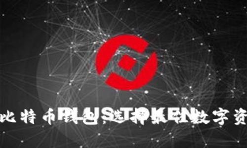 安全易用的比特币钱包：选择最佳数字资产管理工具