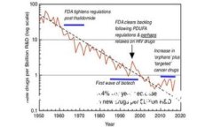 TP钱包如何查看和管理您的数字资产