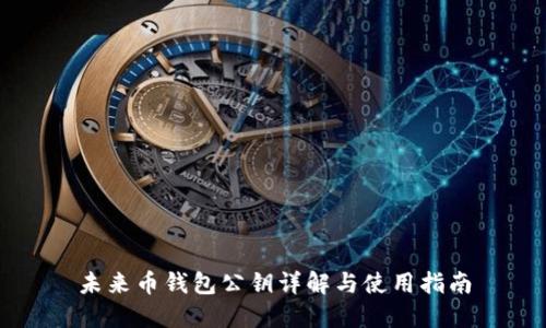 未来币钱包公钥详解与使用指南