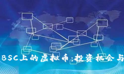 深入解读BSC上的虚拟币：投资机会与风险分析