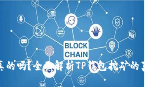 TP钱包挖矿是真的吗？全面解析TP钱包挖矿的真相与投资风险