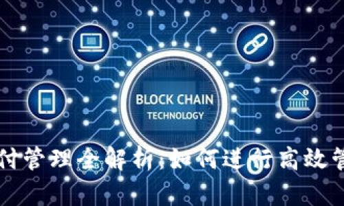 TP钱包支付管理全解析：如何进行高效管理与使用