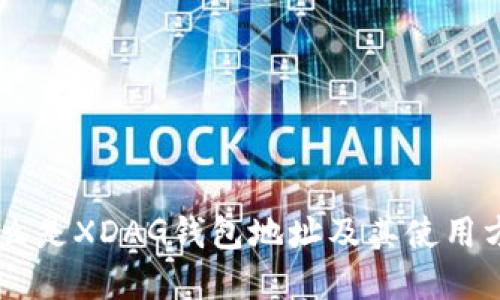 ## 什么是XDAG钱包地址及其使用方法详解