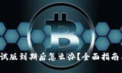  TP钱包测试版到期后怎么办？全面指南与解决方