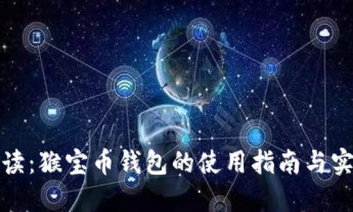 全面解读：猴宝币钱包的使用指南与实操技巧