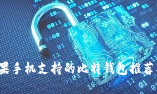 2024年苹果手机支持的比特钱包推荐及使用指南