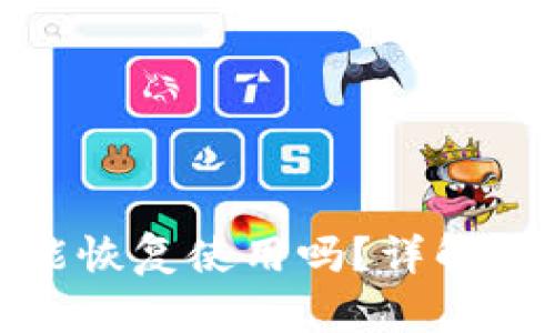 TP钱包币被盗后还能恢复使用吗？详解安全措施与应对策略