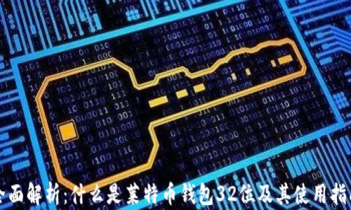 
全面解析：什么是莱特币钱包32位及其使用指南