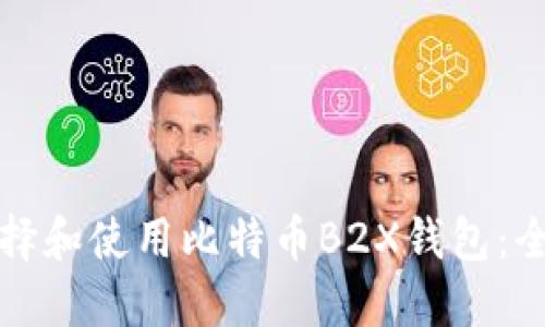 如何选择和使用比特币B2X钱包：全面指南