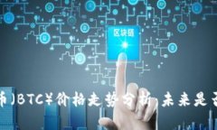 2023年比特币（BTC）价格走势分析：未来是否会继