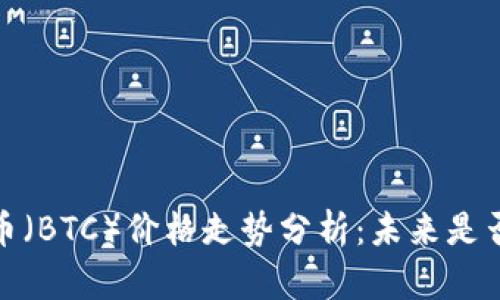 2023年比特币（BTC）价格走势分析：未来是否会继续上涨？