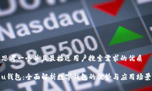 思考一个并且最接近用户搜索需求的优质

u钱包：全面解析数字钱包的优势与应用场景