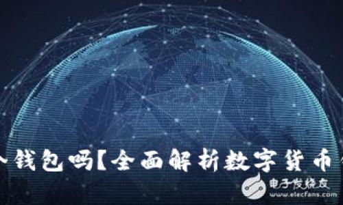 每种数字货币都有一个钱包吗？全面解析数字货币钱包的种类与使用情况