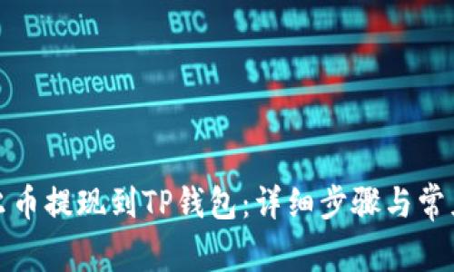 如何将酷尔币提现到TP钱包：详细步骤与常见问题解答