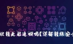 TP钱包USDT被转走能追回吗？详解转账安全与追讨