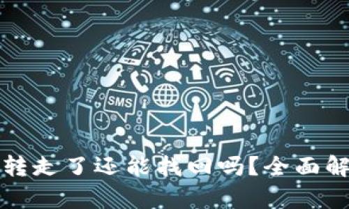 TP钱包资产被转走了还能找回吗？全面解析与解决方案