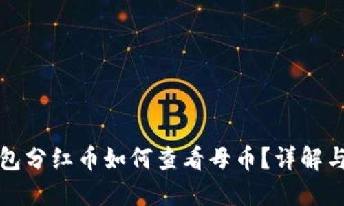 TP钱包分红币如何查看母币？详解与技巧