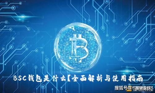 BSC钱包是什么？全面解析与使用指南